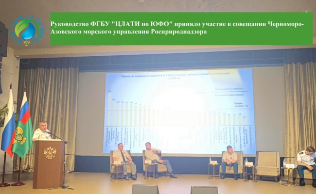 IMG-20250611-WA0001 (3)
