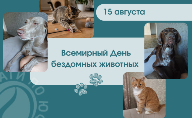 гориз_ копия_ копия_ копия_20260810_120108_0000