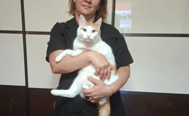 Иванова