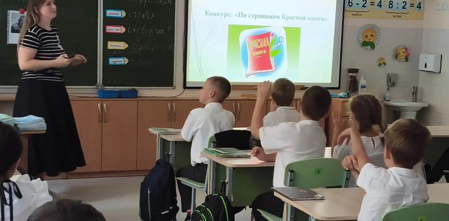 «Спасите Землю!»: школьники Ставрополя проверили свои экологические знания
